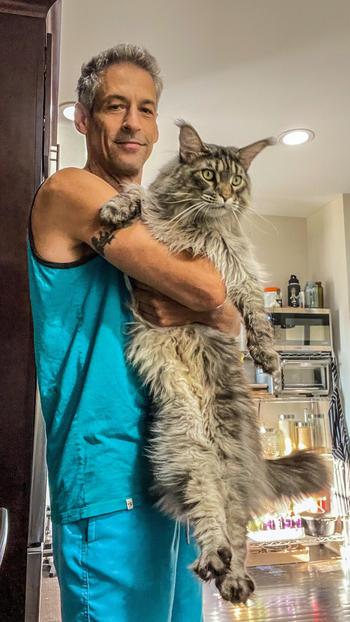Token epstein cat
