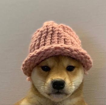 test 幣種