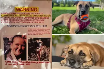 token Justice For Honey Albie Penny