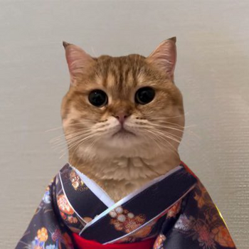 token cok the cat