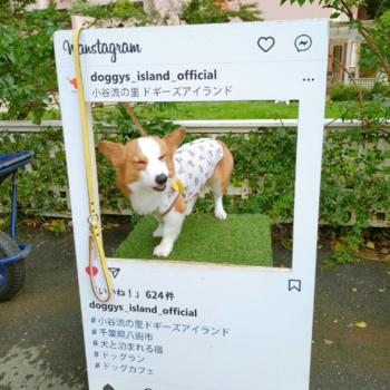Token marinmo おちょー