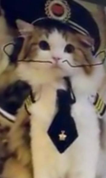 Token Neuracat