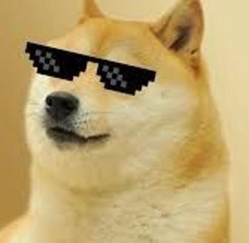 Doge 币种
