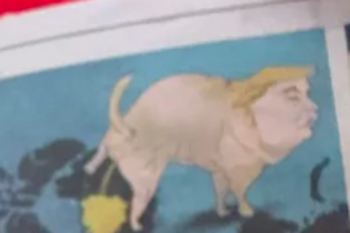 trumpdog token