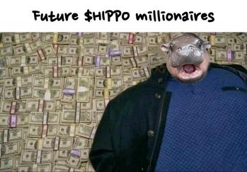 Токен chill hippo