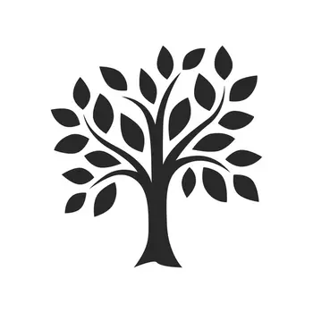 Procedure Generative Forest 币种