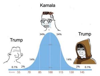 Vote for Donald Trump 币种