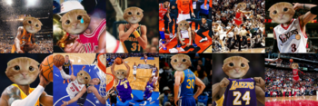 BUCKETS 幣種