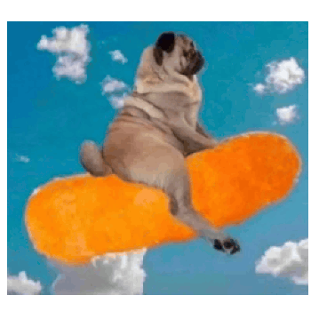 PUG ON CHEESEY 币种