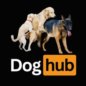 token DogHub