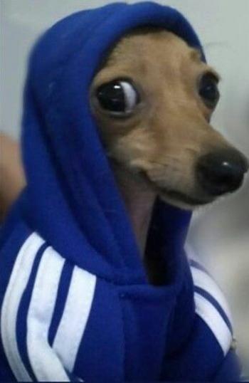 Token CHIKO