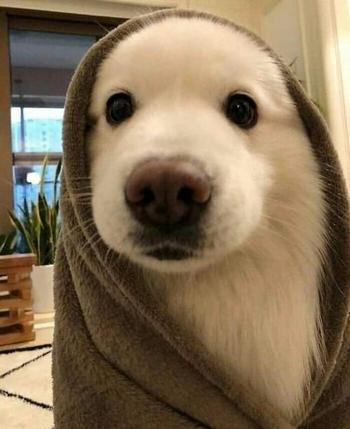 Token hewhwe