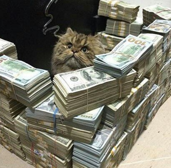 Токен Pussy Over Cryptofffaa