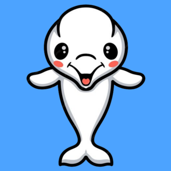 Token Beluga