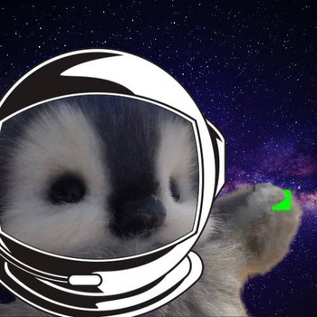 Token Moon Penguin