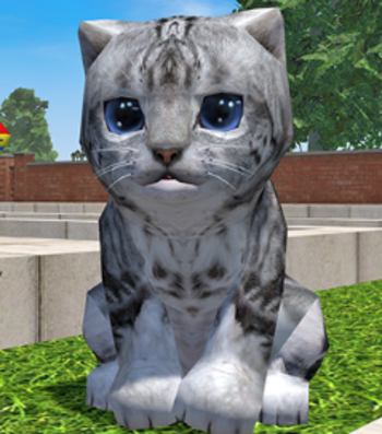 Jeton Cat Part 2