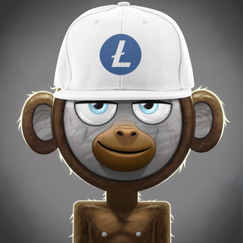 monkeyonchain Token
