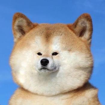 luo 币种