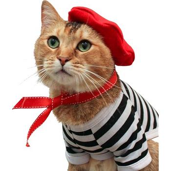 Red Hat Cat 幣種
