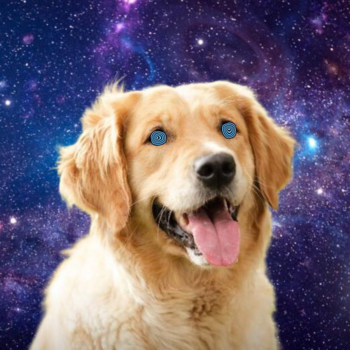 Jeton Galaxy Dog