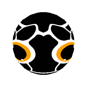 WAIN 币种