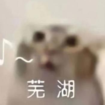 Binance Cat 币种