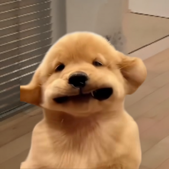 token I am a Puppy
