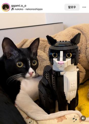 Lego cat real name 币种