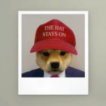token Dofwifhat