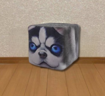 Box Dog 币种
