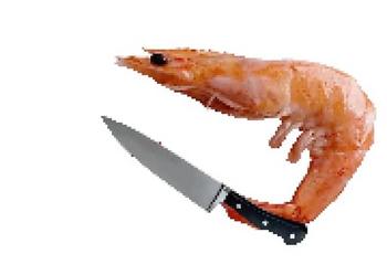 Token 🗡️🦐