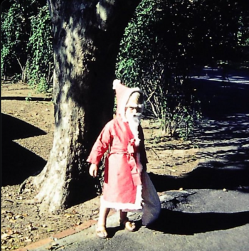 ELON SANTA 币种