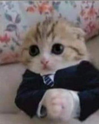 Токен mister