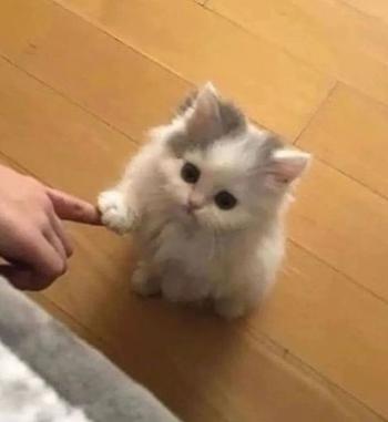 Token Pinky