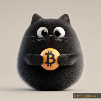 Bitcat Token