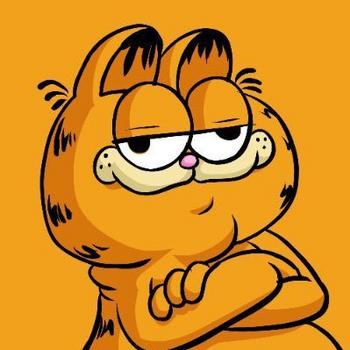 token GARF on SOL