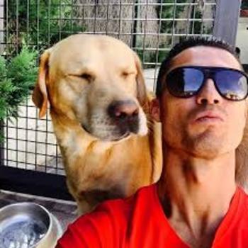 CR7 dog 币种