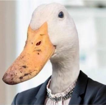 Duck 币种