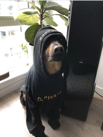 Ikona tokenu