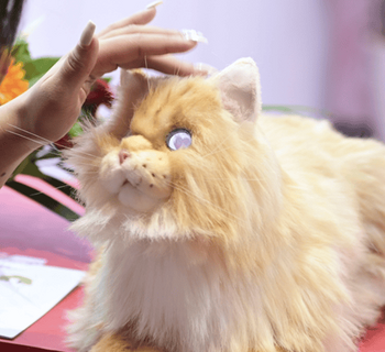 Токен First Chinese AI Pet