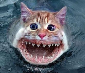 Token Chinese CatFish⠀⠀⠀⠀⠀⠀⠀⠀⠀⠀⠀⠀⠀⠀⠀⠀⠀⠀⠀⠀⠀⠀⠀⠀⠀⠀⠀⠀⠀⠀⠀⠀⠀⠀⠀⠀⠀D2yKaThegCr4KwHu2UFPtfGZ6dBycN1oFQsAG1mSEDXY