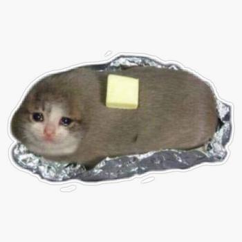 Token Buttercat