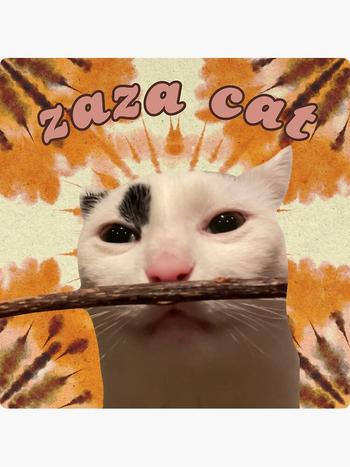 Token Zaza the cat⠀⠀⠀⠀⠀⠀⠀⠀⠀⠀⠀⠀⠀⠀⠀⠀⠀⠀⠀⠀⠀⠀⠀⠀⠀⠀⠀⠀⠀⠀⠀⠀⠀⠀⠀⠀⠀Cqa49UrthaexboBXn9vJUnwtL5Vnw3zSBqhfEGx1pump