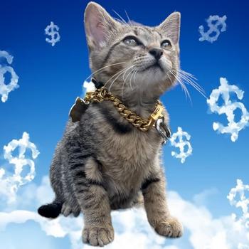 Токен Currency Cat 