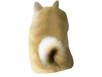 Token Backwords Doge
