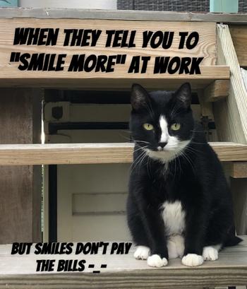 Token Simon The Cat