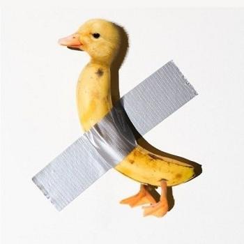 Taped Banana Duck 币种