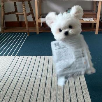 Token NEWSPAPER