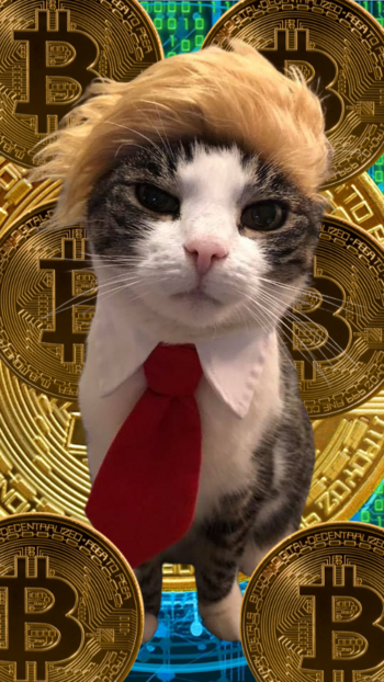 Token Bitcoin Trump Cat