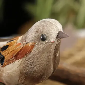 Token Birds Arent real